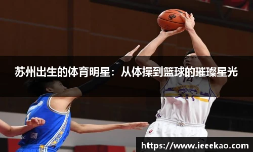 德信体育官方网站首页