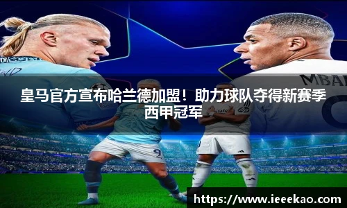 德信体育