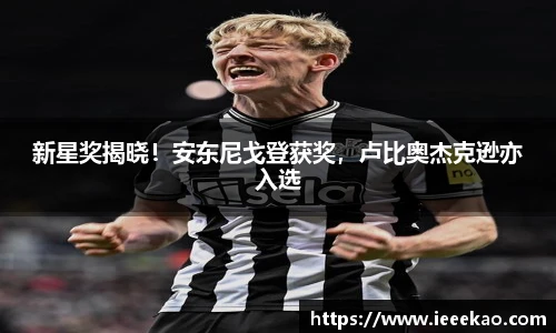 德信体育官方网站首页