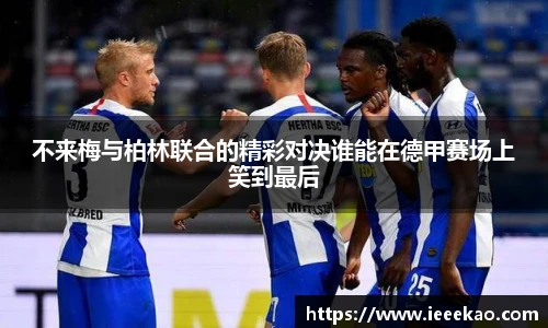 德信体育官方网站首页