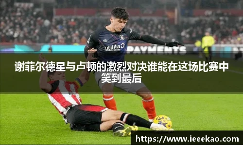 德信体育